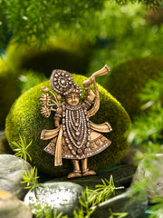 Shrivani Divine Shrinathji Brooch